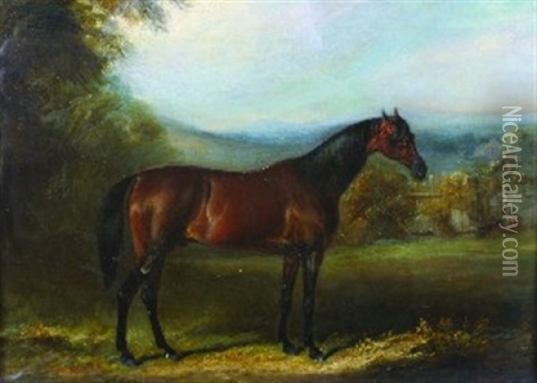 Portrait Of A Horse Oil Painting - John Ferneley Jr.