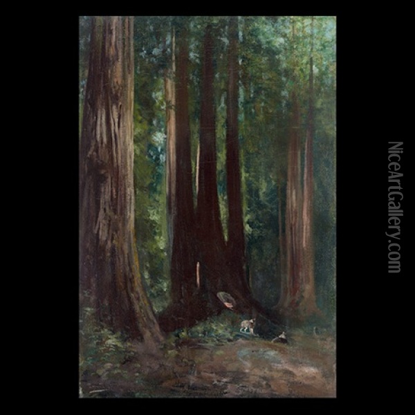 Redwood Forest With Doe And Fawn Oil Painting - Charles Dorman Robinson