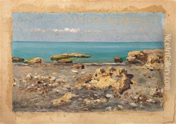 Strand Mit Felsen In Palo Oil Painting - Pietro Barucci