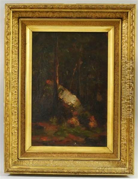 Woodland Interior Oil Painting - Helen Mary Knowlton