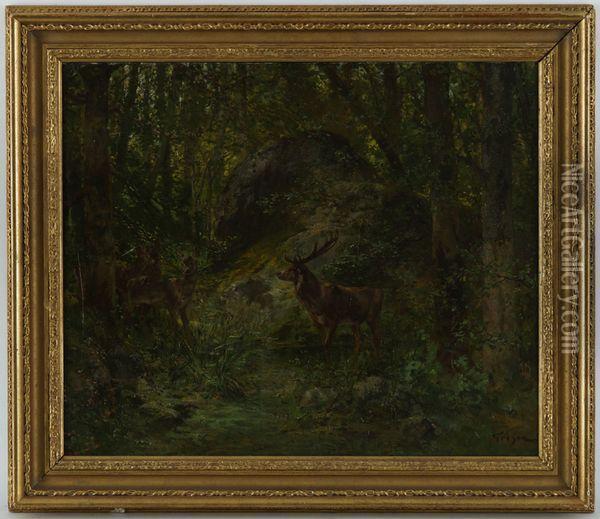 Cerfs Dans La Foret Oil Painting - Francois Adolphe Grison