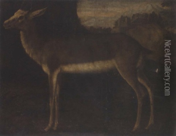 A Hind Oil Painting - Philipp Ferdinand de Hamilton