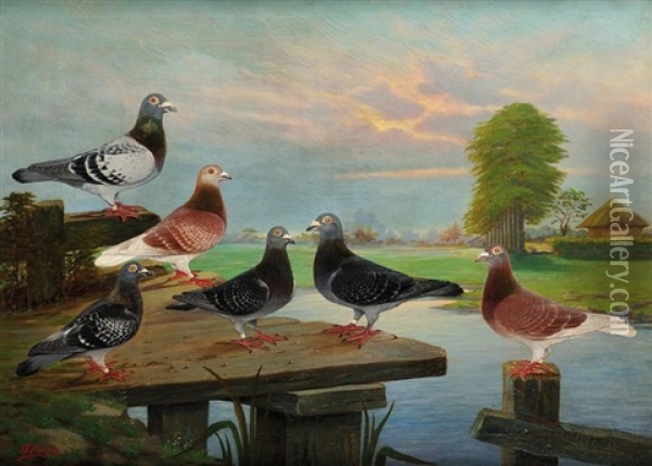 Les Pigeons Oil Painting - Charles Mertens