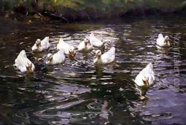 White Ducks on Water Oil Painting - Franz Grassel