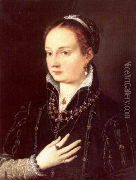 A Portrait Of A Young Woman (simonetta De Medici?) Oil Painting - Alessandro di Cristofano