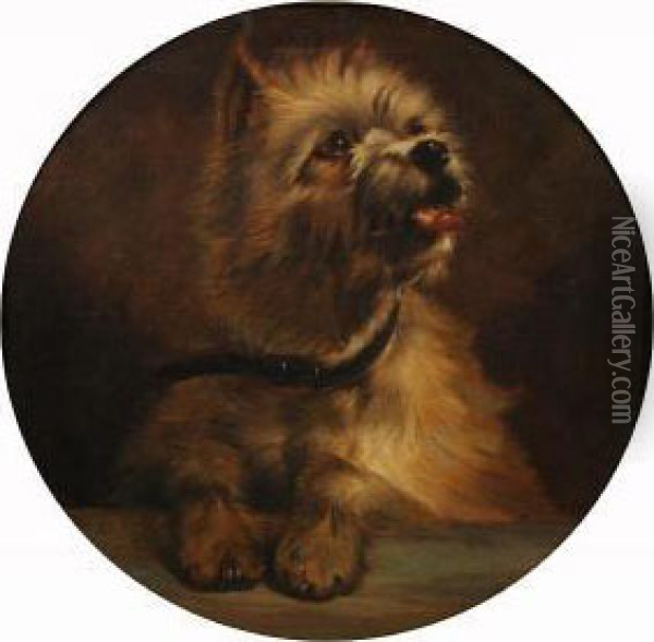 Terrier At A Ledge Oil Painting - George Earl