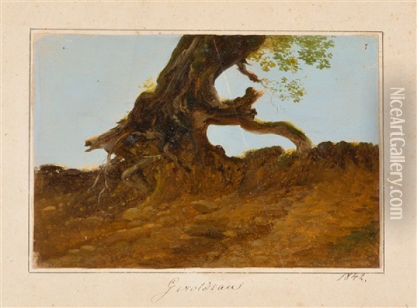 Studie Eines Baumstamms Oil Painting - Carl Ludwig Frommel