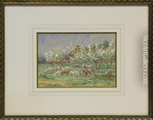 Sheep In Anorchard Oil Painting - Claude Cardon