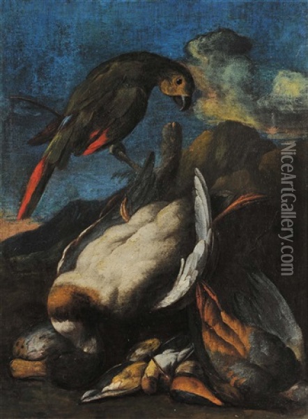 Natura Morta Con Anatre E Pappagalli Oil Painting - Baldassare De Caro