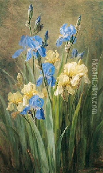 Opstilling Med Iris Oil Painting - Anthonie Eleonore (Anthonore) Christensen