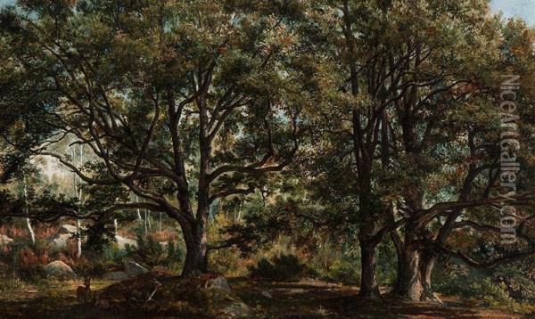 Deer In The Forest Oil Painting - Martinus Antonius Kuytenbrouwer