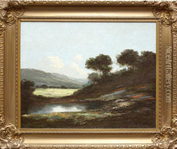 Marin Meadow Oil Painting - Richard Detreville