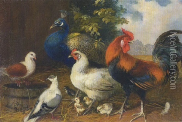 Hahn, Huhner, Kuken, Tauben Und Pfau Oil Painting - Julius Scheuerer