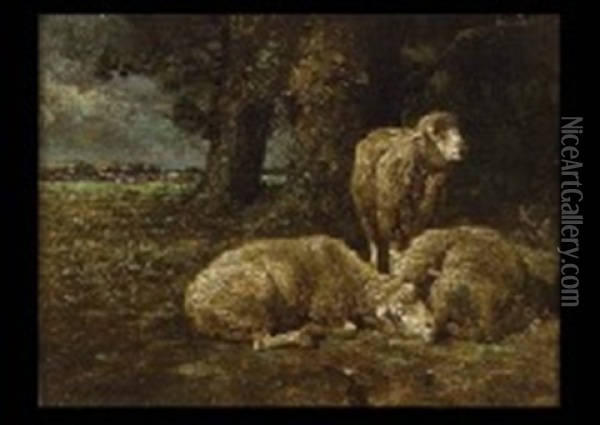 Sheep At Rest Oil Painting - Charles Emile Jacque