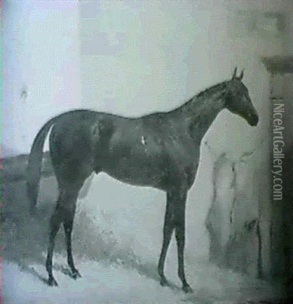 Portrait Of Tuft Hunter, In A Stable Oil Painting - Harry Hall