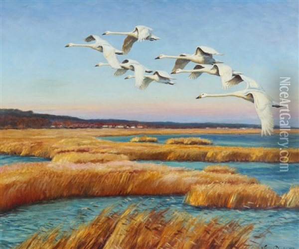 Scenery With Flying Swans Oil Painting - William Gislander