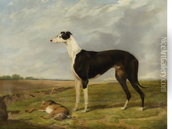 Brigadier, Winner Of The Waterloo Cup Oil Painting - Henry Calvert