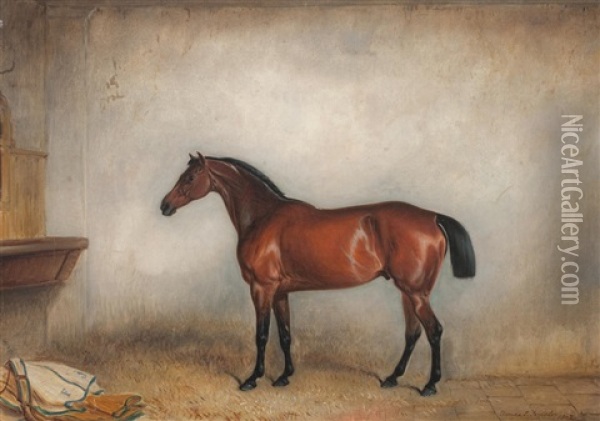 A Bay Horse In Stable Oil Painting - Claude Lorraine Ferneley