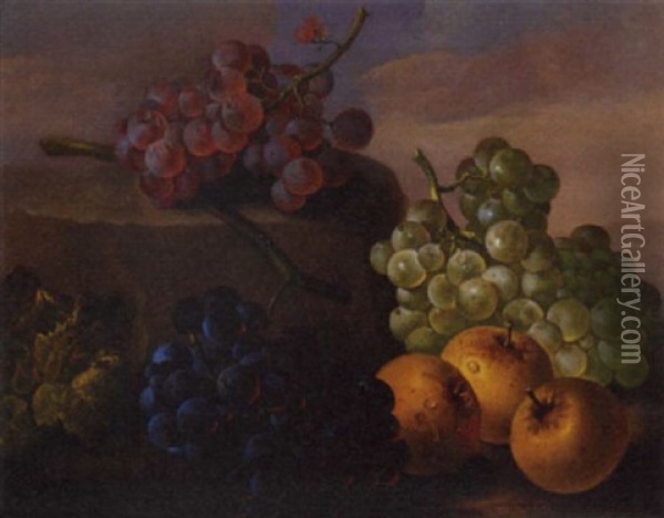 Grapes And Apples On A Rocky Shelf Oil Painting - Franz Xaver Petter