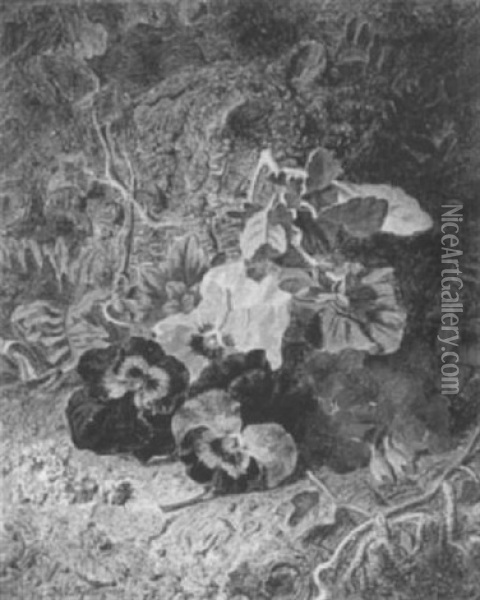 Pansies And Primulas Oil Painting - Thomas Worsley