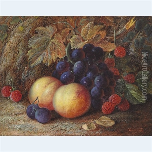 Grapes, Raspberries And Peaches On A Mossy Bank Oil Painting - Vincent Clare