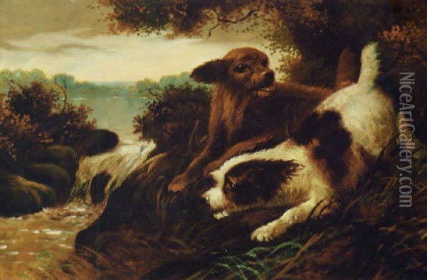 Spaniels By A Lake Oil Painting - Edward Armfield