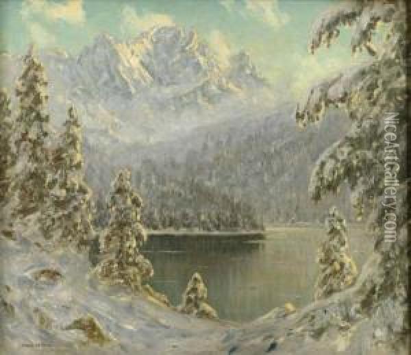 Winterlicher See Im Gebirge Oil Painting - Franz Hienl-Merre