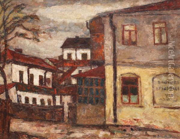Inn From Targu Cucului Oil Painting - Stefan Dimitrescu