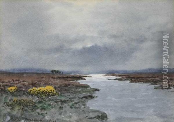 Bogland River Oil Painting - William Percy French