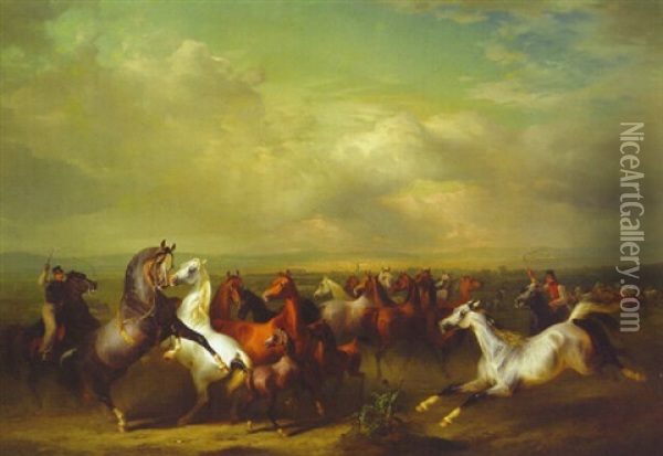 Shagya Arab Horses Being Herded Before The Military School, Babolna, Hungary Oil Painting - Otto Stotz