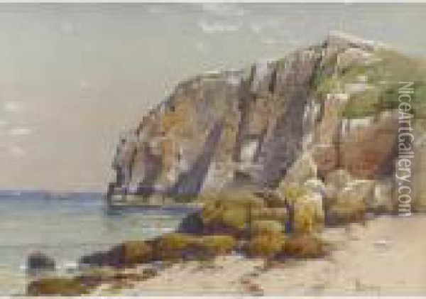 Cliffs On The Coast Oil Painting - Alfred Thompson Bricher