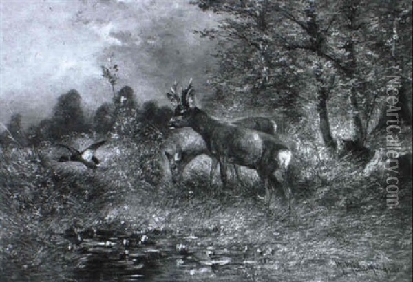 Rehe Und Erpel Im Wiesengrund Oil Painting - Moritz Mueller the Younger