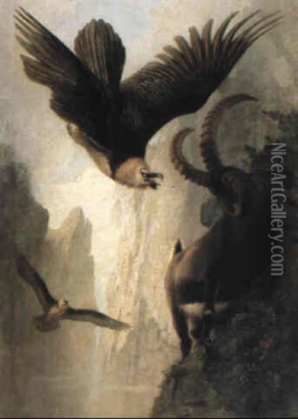 Bearded Vultures Attacking An Alpine Ibex Oil Painting - Josef Wolf