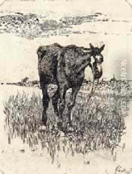 Il Vecchio Cavallo Oil Painting - Giovanni Fattori