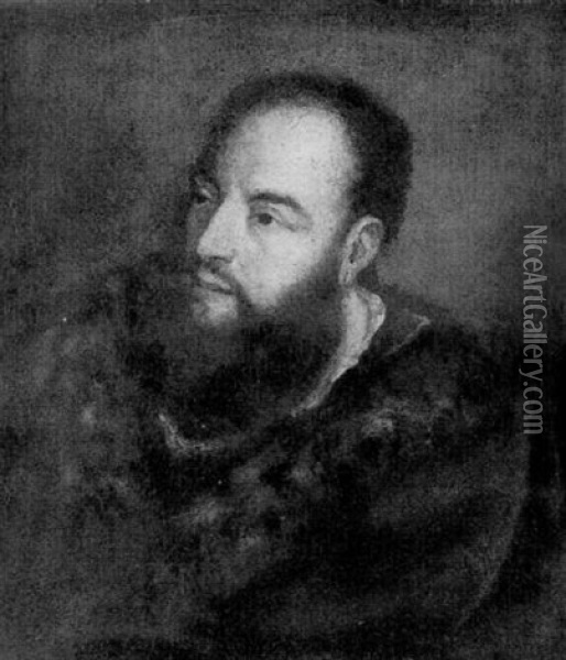 Portrait D'homme Barbu Oil Painting - Girolamo Forabosco