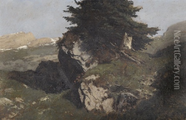 Felsblock Mit Arve Oil Painting - Gustave Eugene Castan