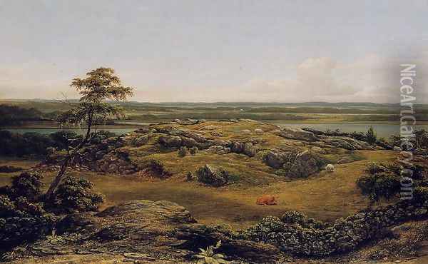 Rocks In New England Oil Painting - Martin Johnson Heade