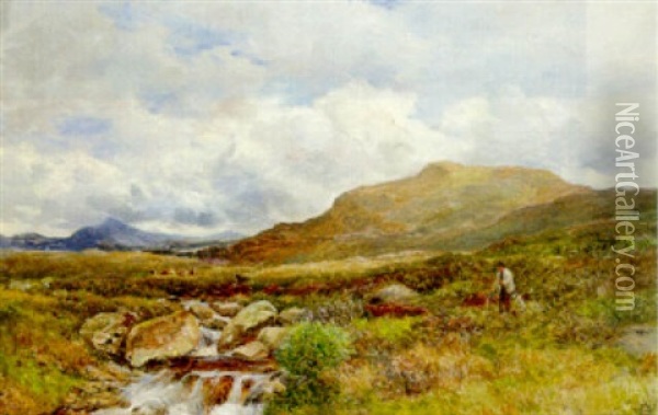 Moorland, Ogwen Valley, Capel Curig Oil Painting - David Bates