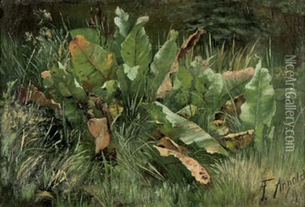 Wiesenstuck Mit Sauerampfer Oil Painting - Friedrich Arnold