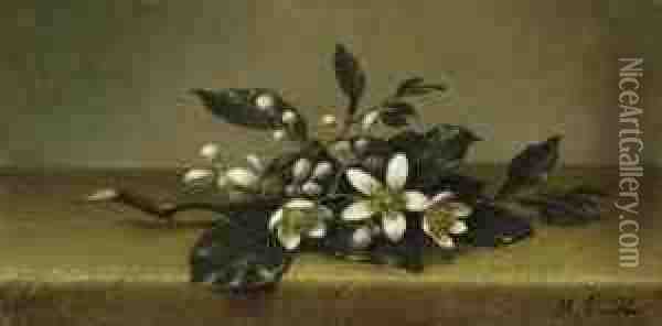 Branch Of Orange Blossoms Oil Painting - Martin Johnson Heade