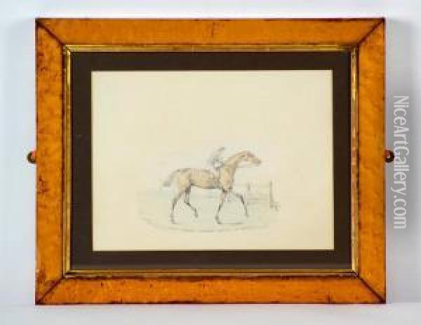 A Study Of The Racehorse Eclipse Oil Painting - Herny Jr Alken