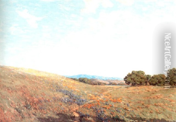 Field Of Mustard Poppies And Lupine Oil Painting - Granville S. Redmond