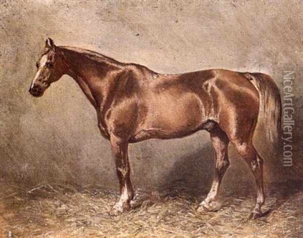 Etude De Cheval Alezan Oil Painting - Louis Robert Heyrault