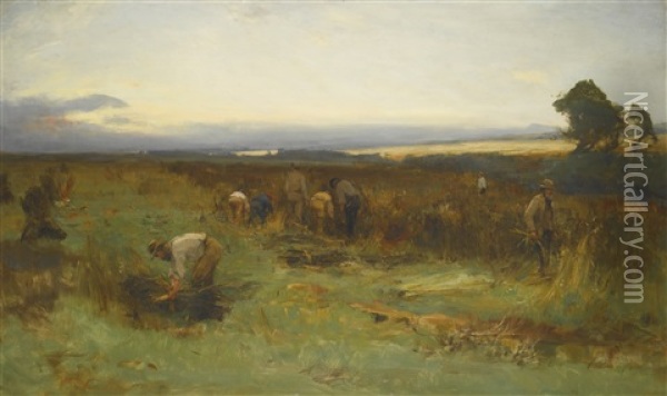 The Bean Field Oil Painting - David Farquharson