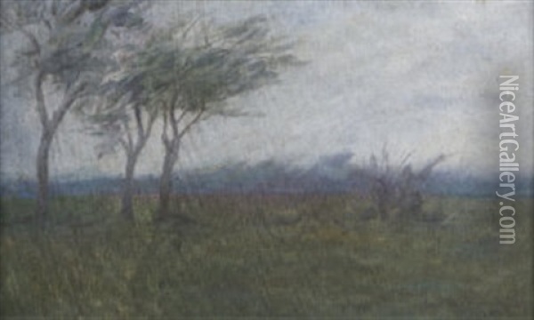 Wooded Landscape Oil Painting - Casimir (Count) Markievicz