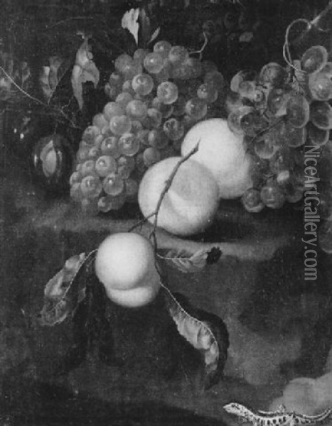 Fruchtestilleben Mit Einer Eidechse Oil Painting - Jan Mortel