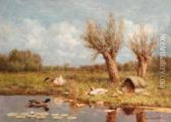 Ducks And Ducklings On A Riverbank In Summer Oil Painting - David Adolf Constant Artz