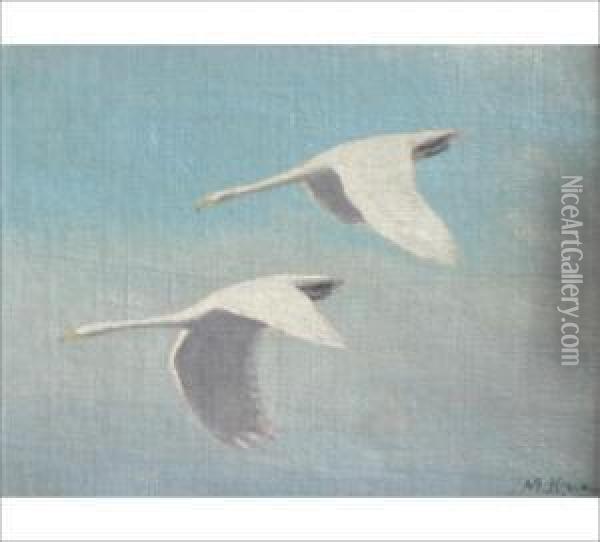 Swans Oil Painting - Matti Karppanen