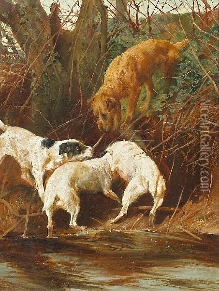 Four Terriers Going To Ground Oil Painting - Arthur Wardle