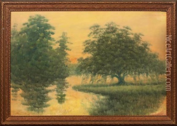 Sunrise On The Louisiana Bayou Oil Painting - Alexander John Drysdale